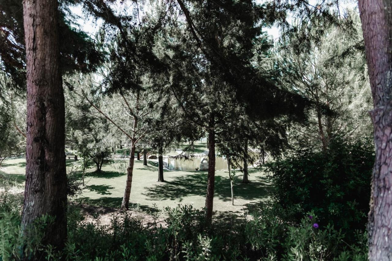 Quinta Do Cerrado Setubal Pension Buitenkant foto